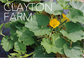 クレイトンファーム